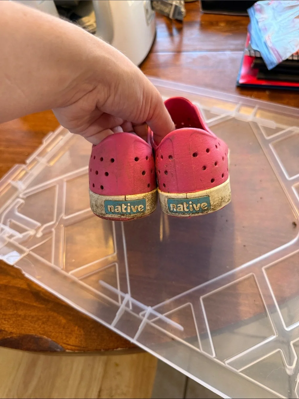 Native Kids Water Shoes in Pink with White Toe Cap
